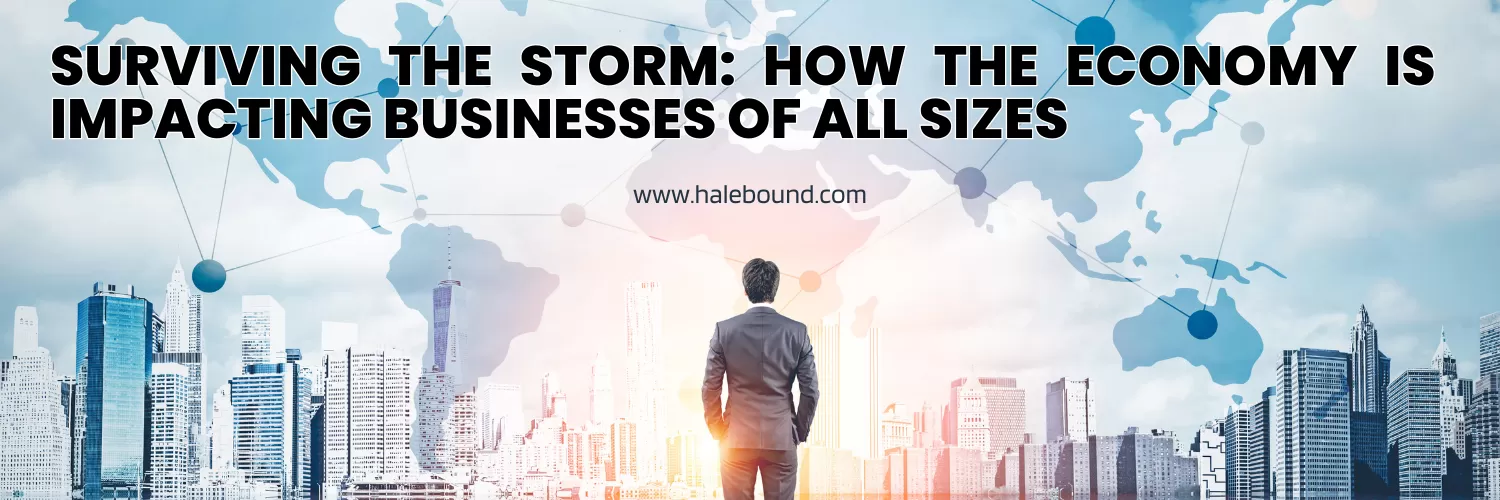 Surviving the Storm: How the Economy is Impacting Businesses of All Sizes